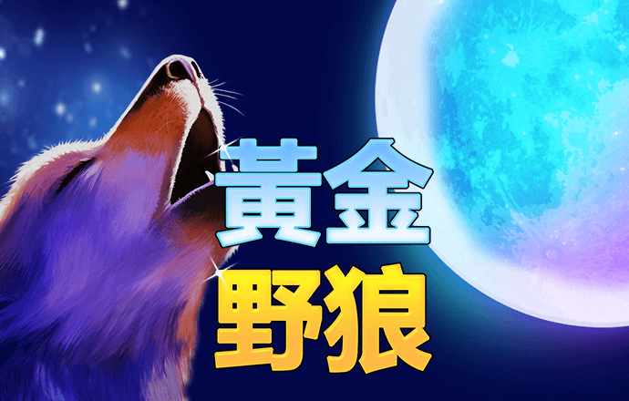 k体育官网登录